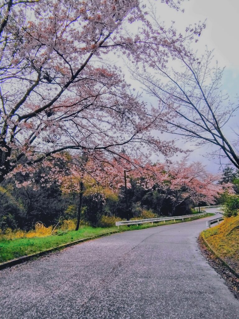 img 20160407 131319 copy