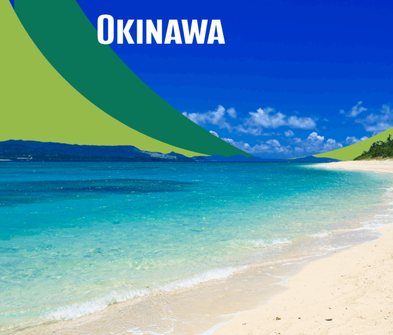 instagram post (7)cut