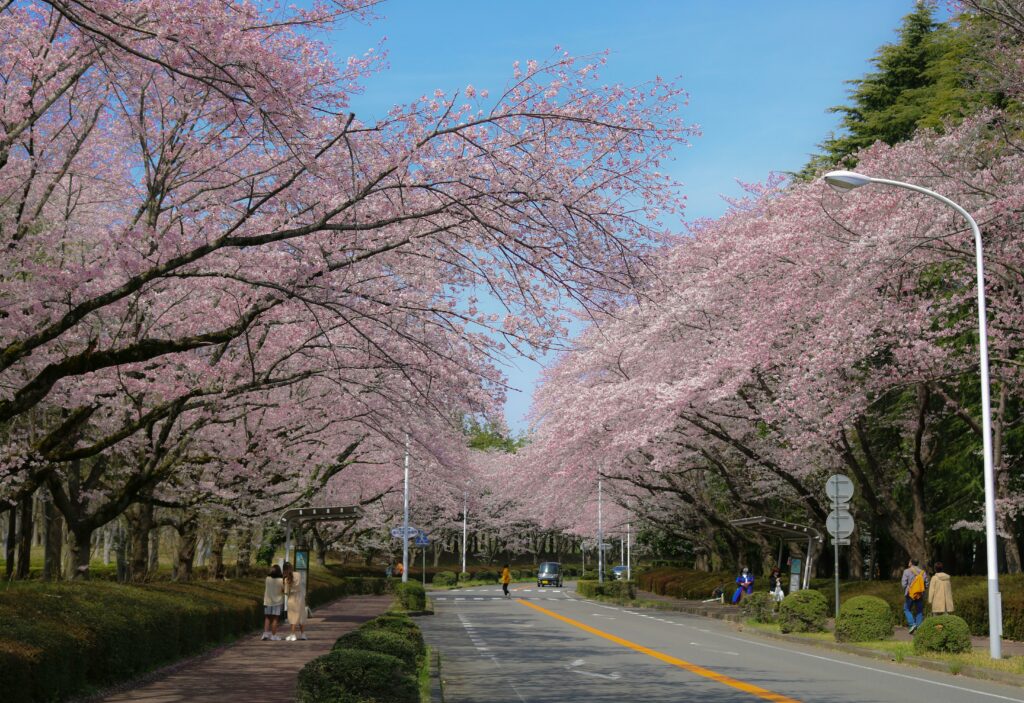 pexels photo 7380858 7380858